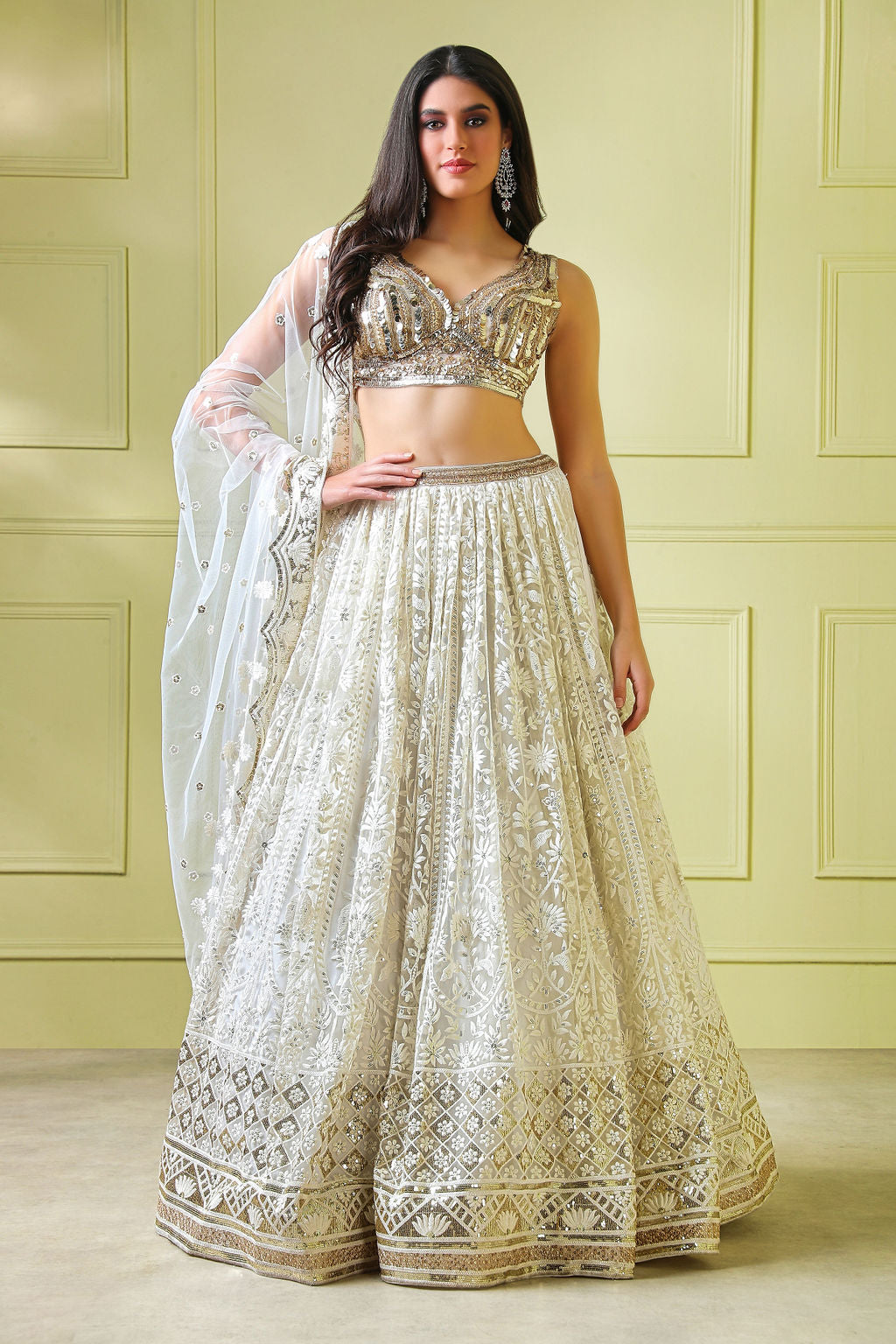 Embroider Lehenga wih beautiful Beige Embroidery top