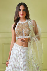 White embroidery Lehenga with embroidery halter top