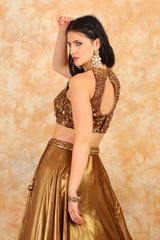 Gold Embroidery Sequence Top with elegant skirt