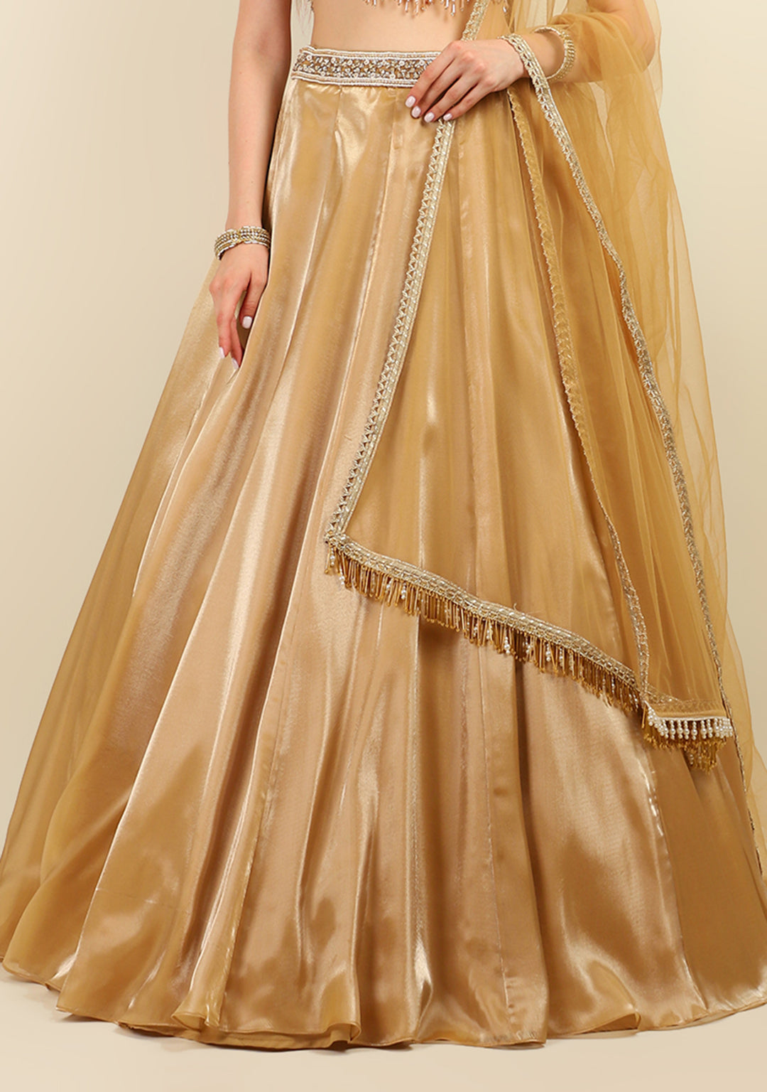 HAND EMBROIDERED TOP WITH GOLD TISSUE SKIRT