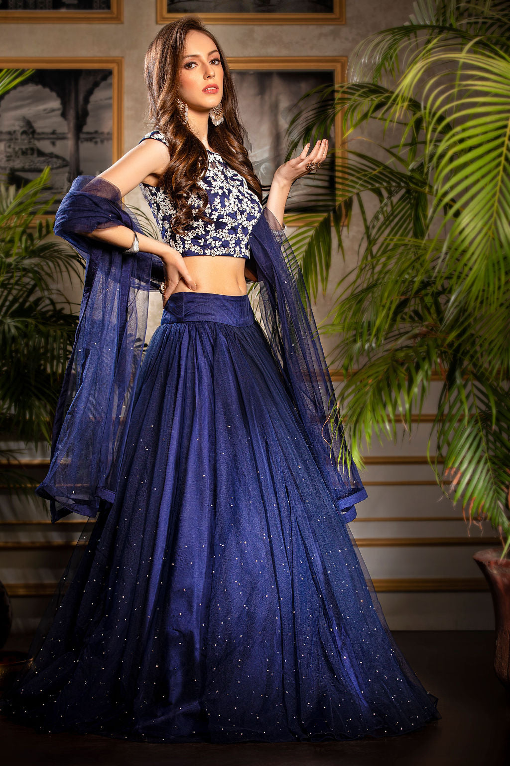 Blue Embroidered Top with matching Skirt
