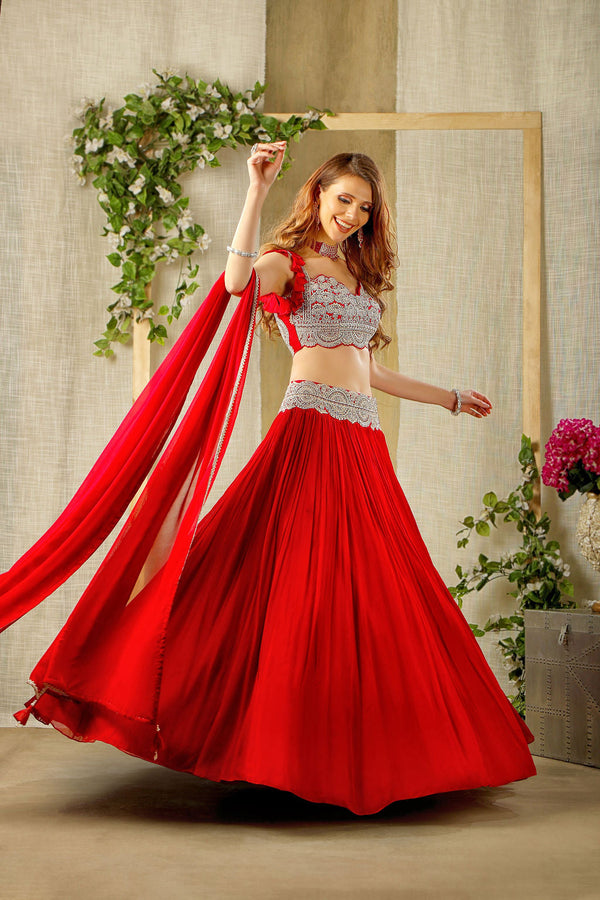 Elegant Red embroidered top and skirt