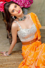 Orange Printed Ruffle Saree with mirror embroidered Blouse