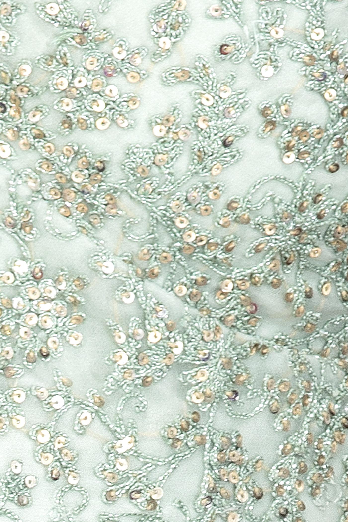 Mint Green Net Skirt/Lehenga/Dupatta With Leather Patch Embroidery