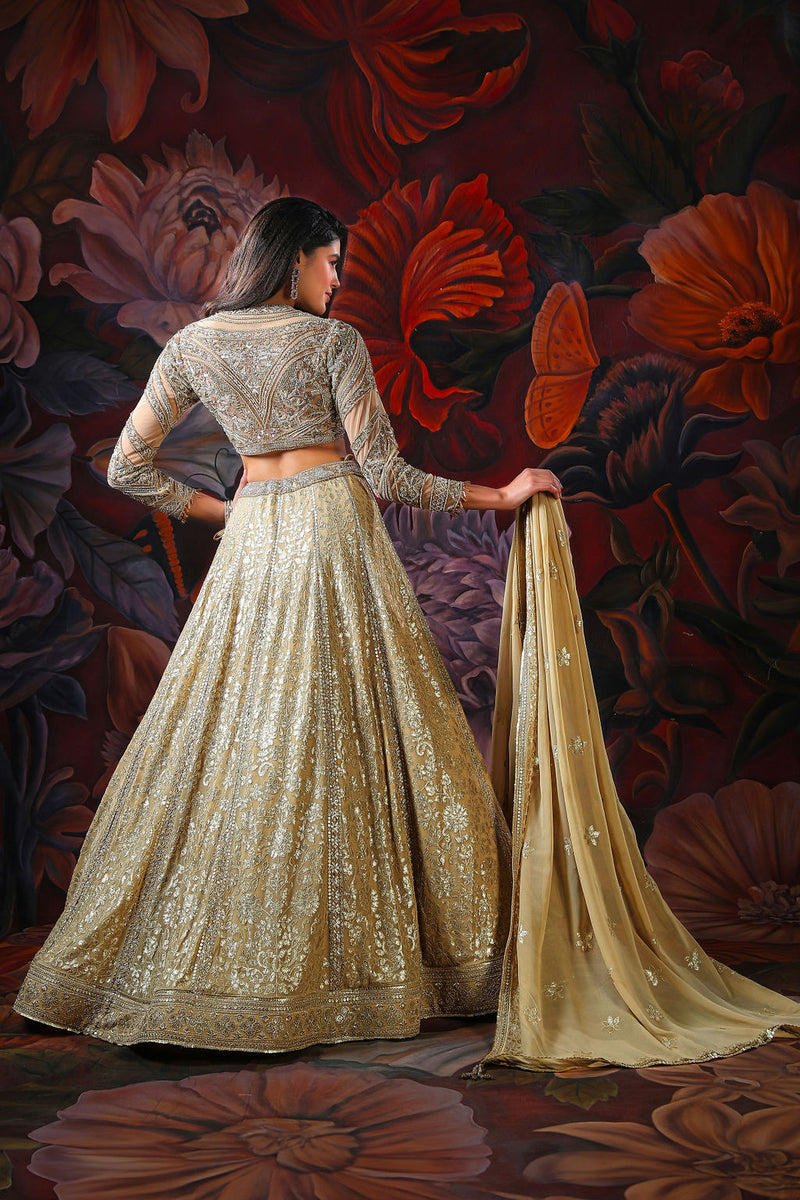 Gold Embroidery Lehenga With full sleeves embroidery Top