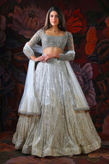 Grey embroidery Lehenga With Embroidery Top