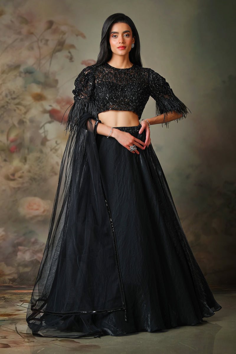 BLACK TOP FEATHER ON SLEEVE WITH FANDY SKIRT