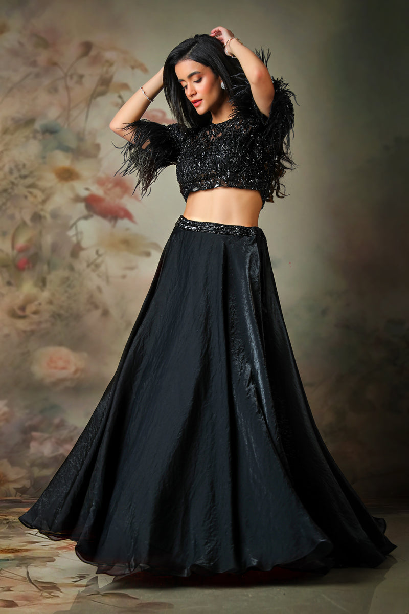 BLACK TOP FEATHER ON SLEEVE WITH FANDY SKIRT