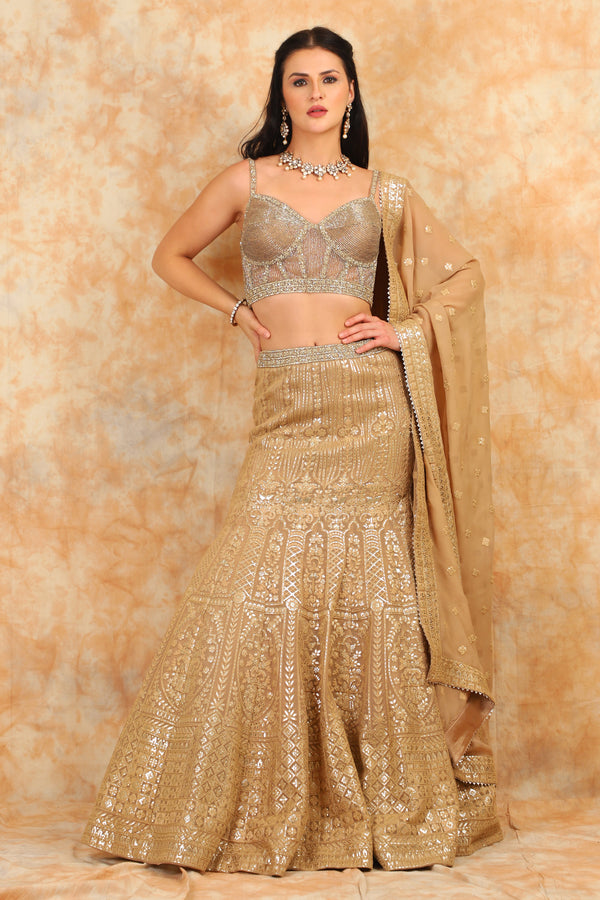 Gold embroidered Top with embroidered lehenga