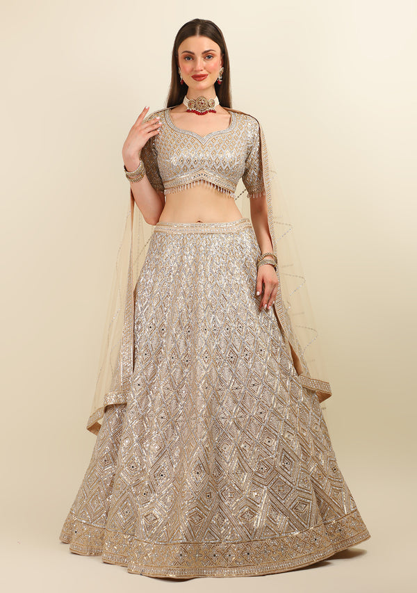 HAND EMBROIDER LEHENGA WITH TOP