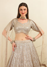 HAND EMBROIDER LEHENGA WITH TOP