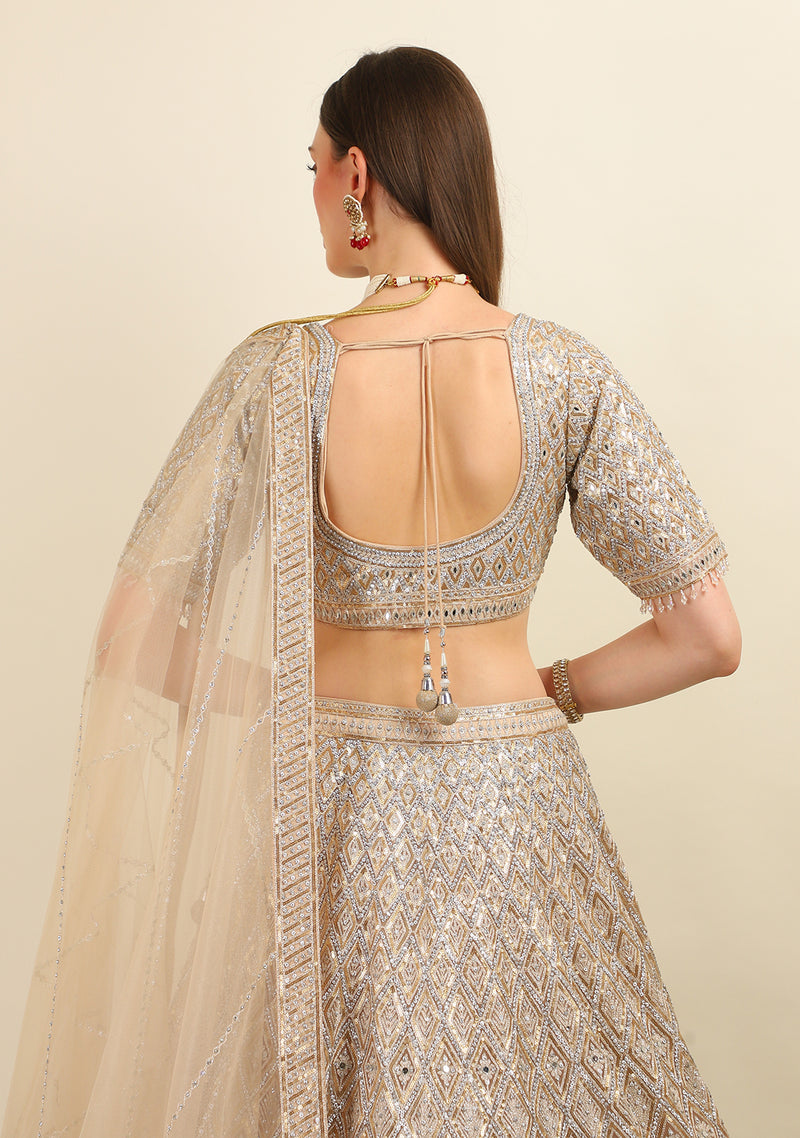 HAND EMBROIDER LEHENGA WITH TOP