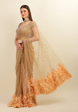 NUDE EMBROIDERY TOP WITH EMBROIDERY STITCH EMBROIDERY FEATHERS SAREE