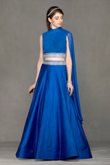 Elegant lehenga with Royal Blue top & Skirt
