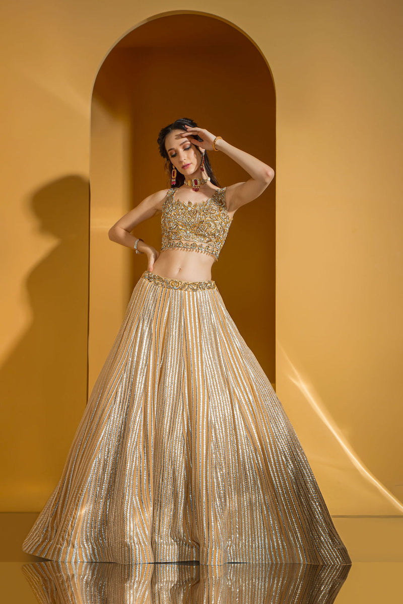 Golden enbroidered top with Skirt