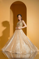 Golden enbroidered top with Skirt