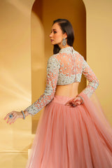 Pearl embroidered Top with net skirt