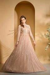 Nude Embrodered Gown