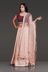 Wine Color Pearl/Stone work Silk Top, Chickankari Skirt and Dupatta