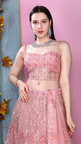 Pink fully embroidered net Lehenga