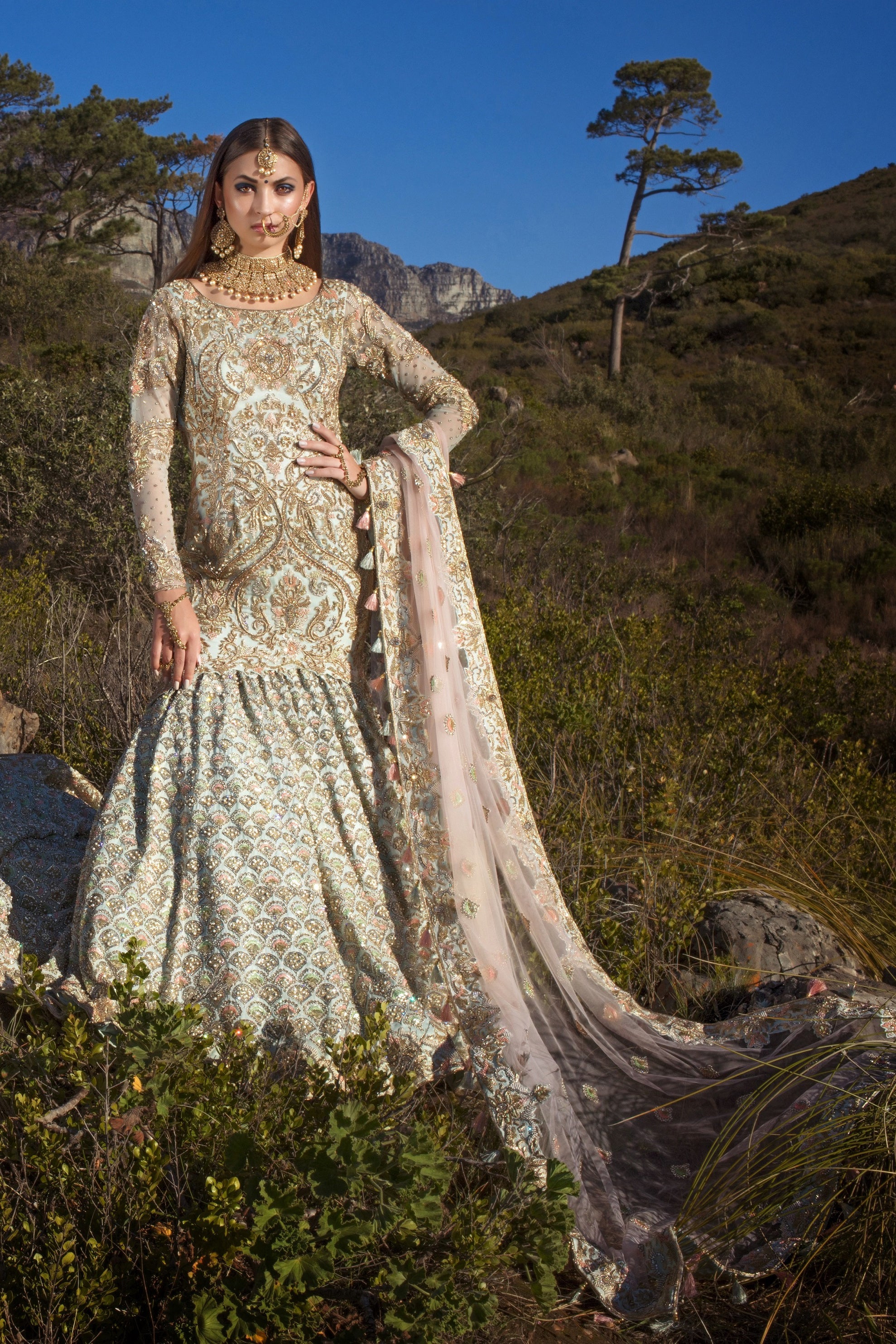 Fish Cut Bridal Gown with trail