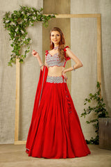 Elegant Red embroidered top and skirt