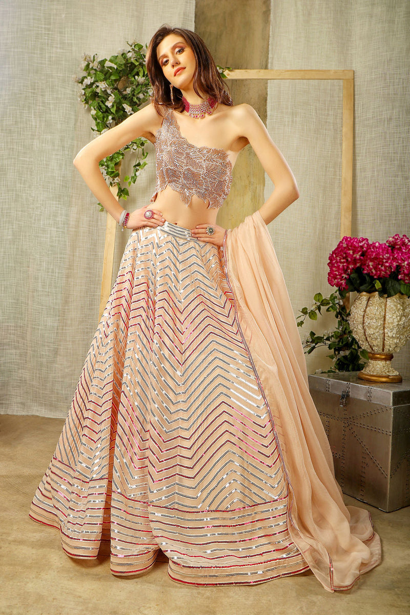 Nude Embroidered top with beautifull Skirt