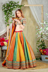 Multicolor Paneel Skirt with Embroidered top