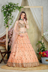 Peach mirror Embroidered blouse with embroidered skirt and dupatta