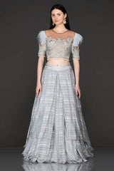 Grey Net Top With Grey Printed Crepe Skirt With Silver Dabka And White Feather Embriodery