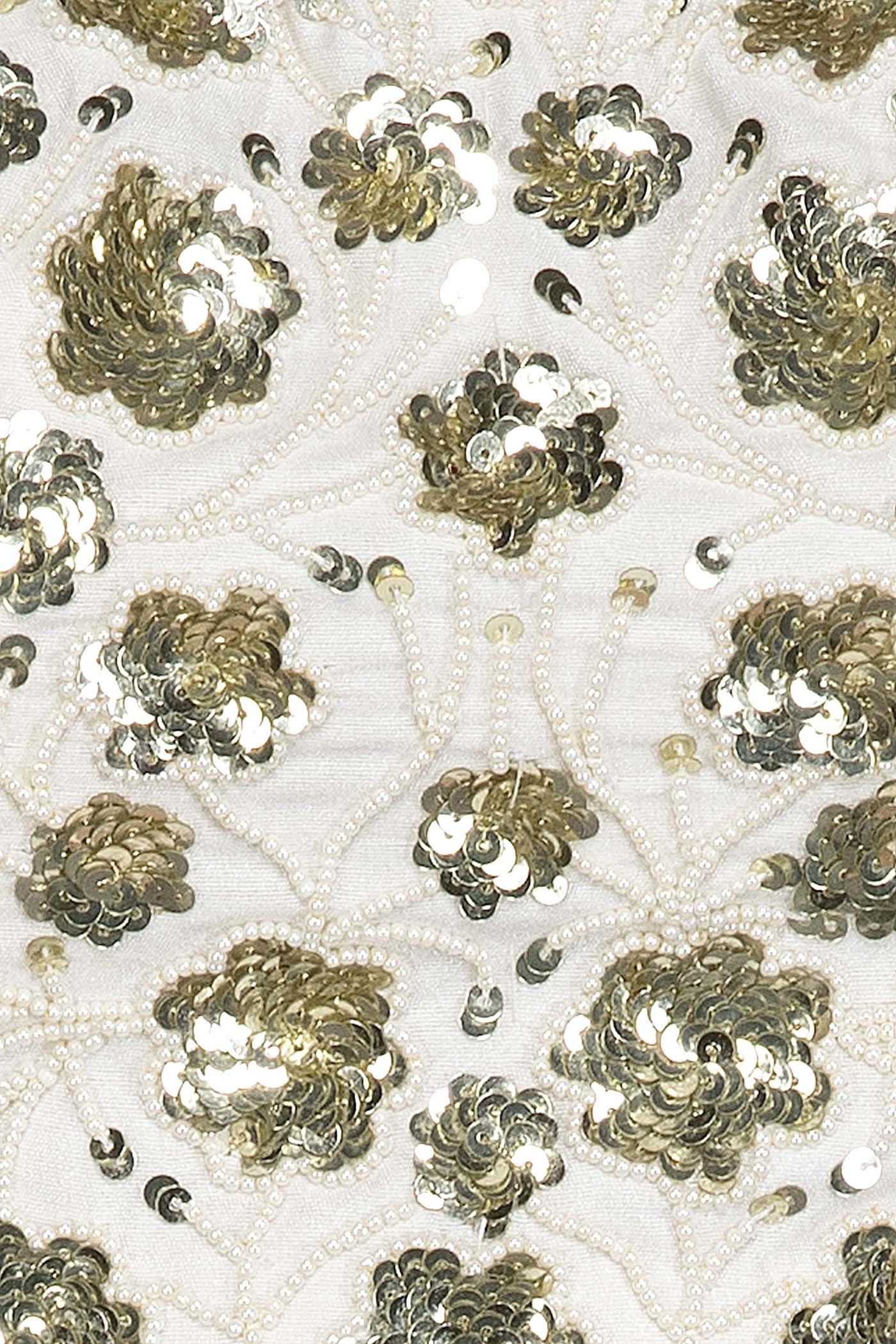 White Georgette Skirt With Net Cape And Silk Top