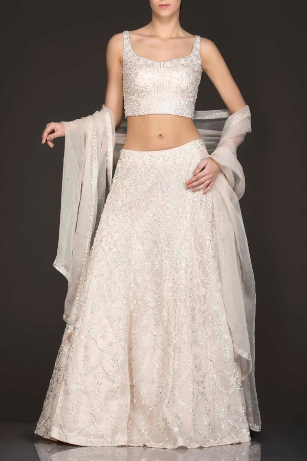 Ivory Colour Organza Lehenga Top With Silver Work And Net Dupatta