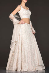 Ivory Colour Organza Lehenga Top With Silver Work And Net Dupatta