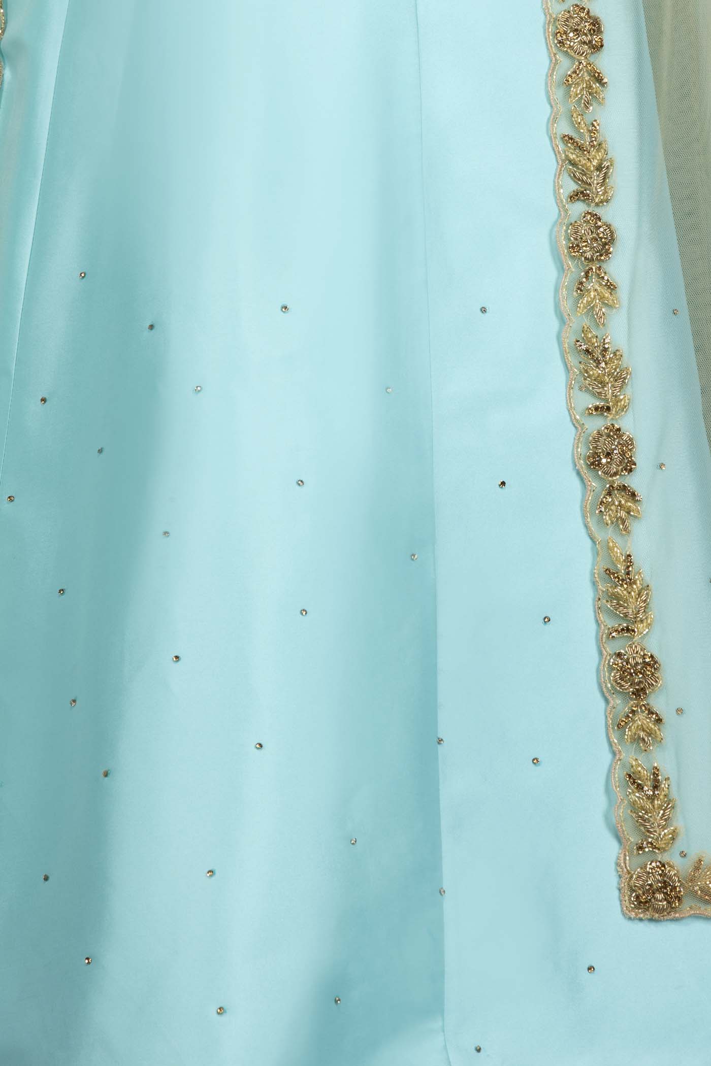 Ferozi Blue Silk Skirt Paired With A Gold Net Cape