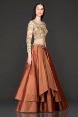 Gold Net Top With Rust Colour/Silk Double Layer Skirt