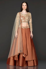 Gold Net Top With Rust Colour/Silk Double Layer Skirt