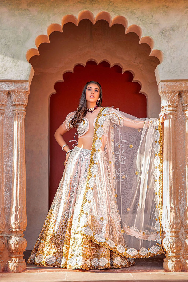 Fully embroidered nude Lehnga